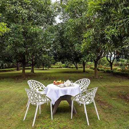 Stayvista'S Prakriti Farms With Outdoor Pool, Complimentary Breakfast And Hi-Tea Удайпур Экстерьер фото